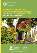Preventing the spread and introduction of banana fusarium wilt disease Tropical race 4 (TR4) Guide for travelers